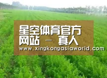 种植基地四