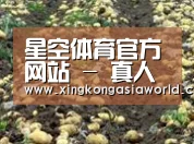 种植基地七
