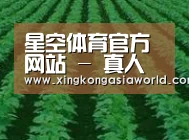 种植基地六