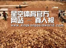 种植基地二