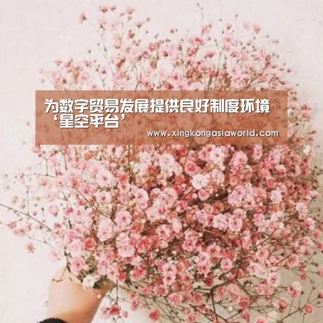 为数字贸易发展提供良好制度环境‘星空平台’(图2) 星空直播