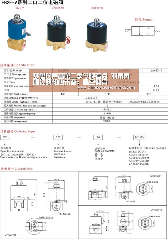 梦想的声音第二季今晚看点 羽泉再唱经典初心未变:星空体育(图3) 星空登录