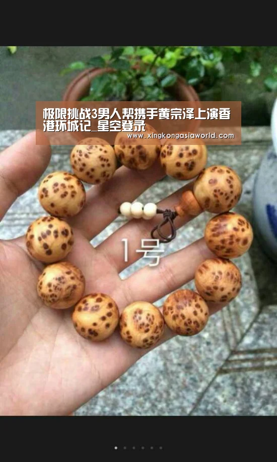 极限挑战3男人帮携手黄宗泽上演香港环城记_星空登录(图1) 星空体育