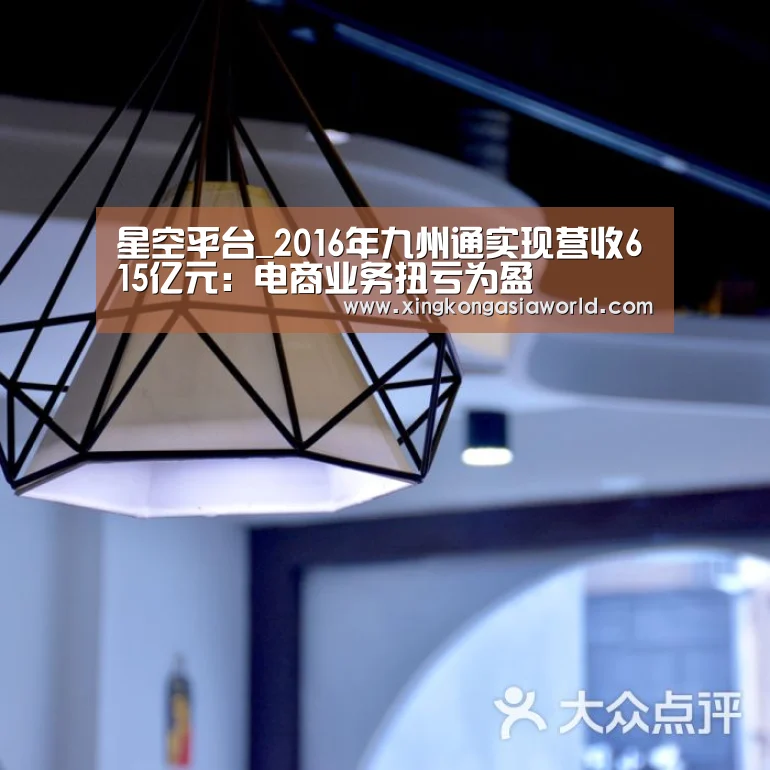 星空平台_2016年九州通实现营收615亿元:电商业务扭亏为盈(图3) 星空登录