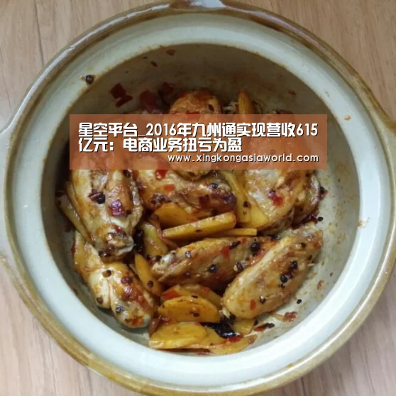 星空平台_2016年九州通实现营收615亿元:电商业务扭亏为盈(图4) 星空体育