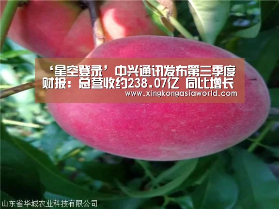 ‘星空登录’中兴通讯发布第三季度财报:总营收约238.07亿 同比增长5.23%(图2) 星空体育