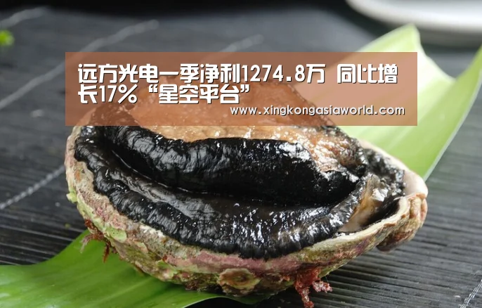 远方光电一季净利1274.8万 同比增长17%“星空平台”(图3) 星空平台