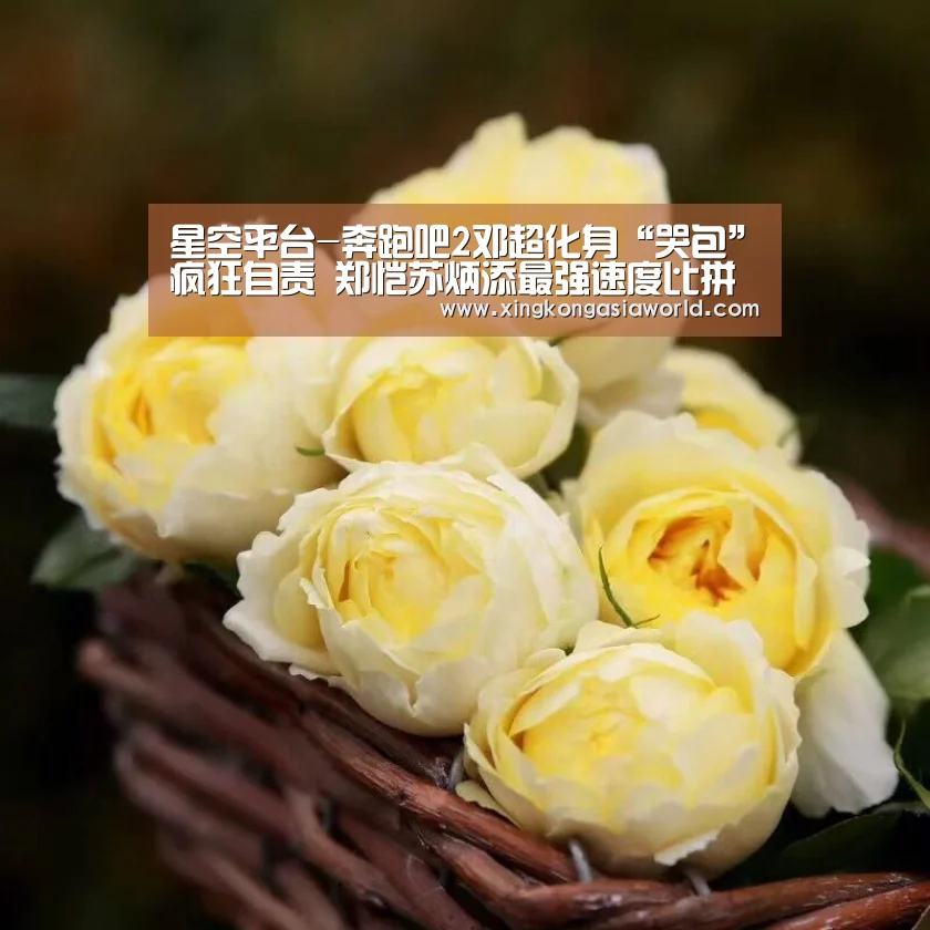星空平台-奔跑吧2邓超化身“哭包”疯狂自责 郑恺苏炳添最强速度比拼(图1) 星空直播