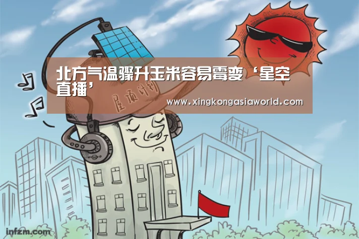 北方气温骤升玉米容易霉变‘星空直播’(图1) 星空平台