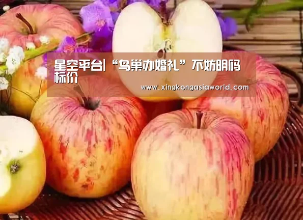 星空平台|“鸟巢办婚礼”不妨明码标价(图1) 星空登录